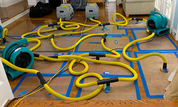Professional Basement Flood Cleanup technician working in McKeesport, PA